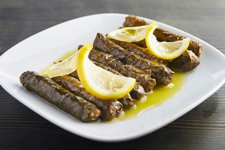 Zeytinyağlılar resmi